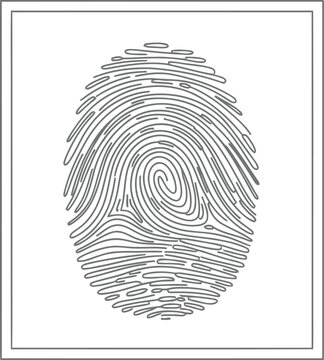 Detailed fingerprint illustration