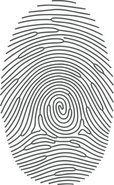 Fingerprint identification technology