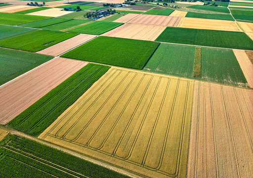 Aerial view of geometric grain and corn fields forming a colorful agricultural landscape with fertile farmland and rural patterns in summer. Langes Feld, Baden-W&uuml;rttemberg, Germany