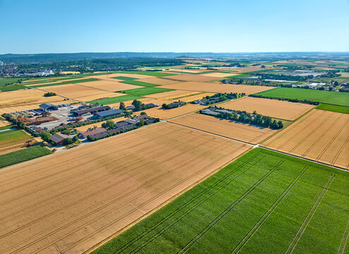 Aerial view of geometric grain and corn fields forming a colorful agricultural landscape with fertile farmland and rural patterns in summer. Langes Feld, Baden-W&uuml;rttemberg, Germany