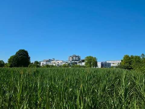 germany, peaceful panoramic green countryside facing ostfildern ruit skyline beyond fertile summer fields beneath sparkling blue sky