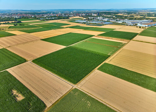 Aerial view of geometric grain and corn fields forming a colorful agricultural landscape with fertile farmland and rural patterns in summer. Langes Feld, Baden-W&uuml;rttemberg, Germany
