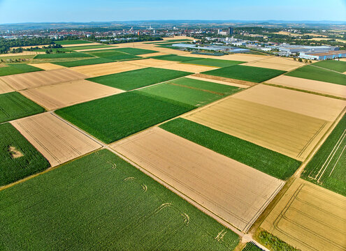 Aerial view of geometric grain and corn fields forming a colorful agricultural landscape with fertile farmland and rural patterns in summer. Langes Feld, Baden-W&uuml;rttemberg, Germany