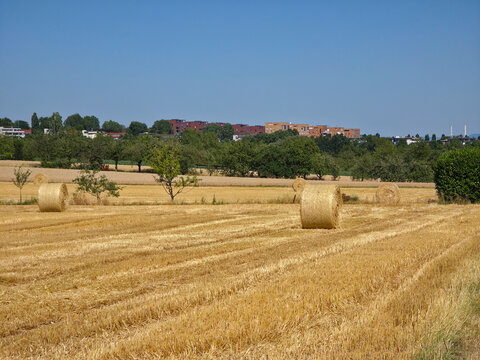 germany, breathtaking panorama across ripe grainfields and hay bales toward scharnhauser park beneath radiant summer blue sky