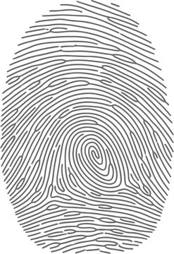 Unique fingerprint pattern