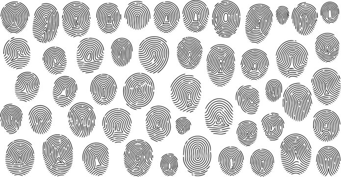 Collection of fingerprint patterns