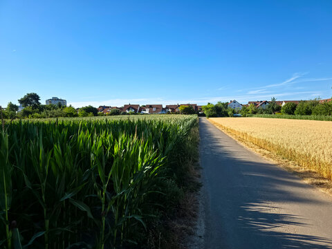 germany, inviting country road guiding toward ostfildern ruit through fertile rural fields beneath brilliant cloudless summer blue sky