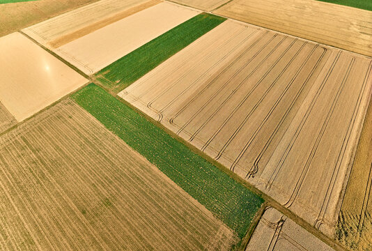 Aerial view of geometric grain and corn fields forming a colorful agricultural landscape with fertile farmland and rural patterns in summer. Langes Feld, Baden-W&uuml;rttemberg, Germany