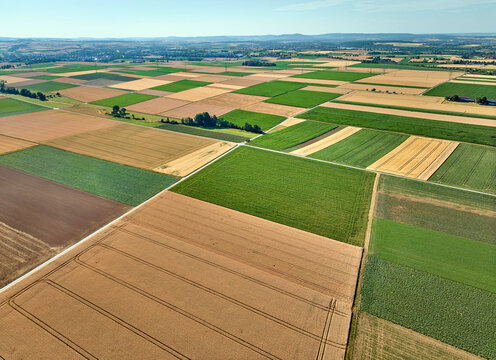 Aerial view of geometric grain and corn fields forming a colorful agricultural landscape with fertile farmland and rural patterns in summer. Langes Feld, Baden-W&uuml;rttemberg, Germany