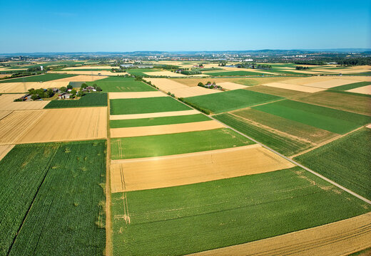 Aerial view of geometric grain and corn fields forming a colorful agricultural landscape with fertile farmland and rural patterns in summer. Langes Feld, Baden-W&uuml;rttemberg, Germany