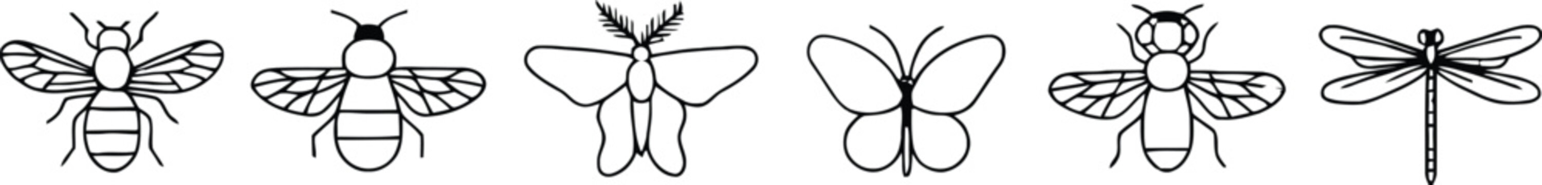 Bee Moth and Butterfly Line Icon Set Minimal Insect Vector Symbols for Nature Design