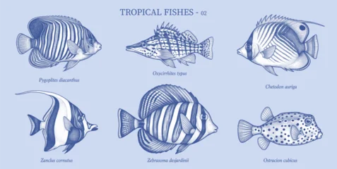Hand Drawn Vintage Engraving Tropical Fish Collection Vector Illustration © pingebat