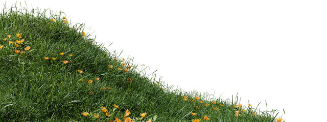 Green grass hill edge with scattered autumn leaves seasonal landscape background vegetation isolated environment botanical © Tahmina
