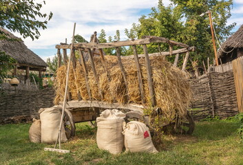 Rural landscape with a hay cart in a village yard © allegro60