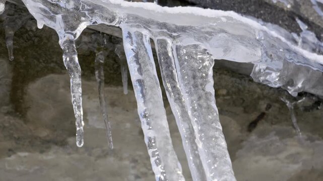 Transparent icicles hang from a concrete roof ledge while water droplets drip down in bright sunlight. Concept of spring thaw, seasonal weather changes, rising temperatures, and end of winter