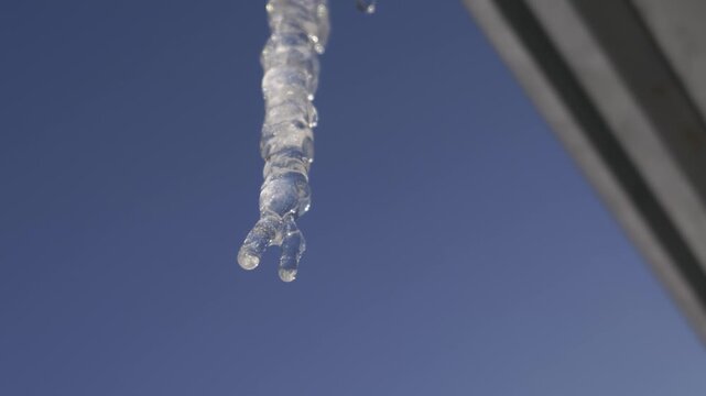 A close-up of a transparent icicle hanging from a roof, melting and dripping water drops against a blue sky. Concept of spring thaw, seasonal transition, and warming weather.