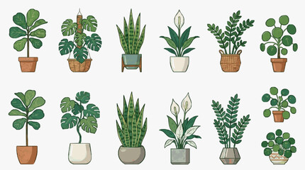 Minimalist of Ten Varied Indoor Plants in Colorful Pots for Home Decor and Plant Lovers with high quality professional line art symbols for modern creative design and digital branding projects © Asep