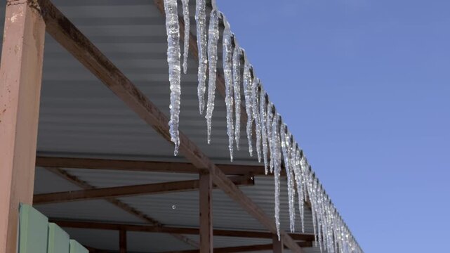 Melting icicles hang from a metal roof edge, dripping water droplets against a clear blue sky. The thawing ice suggests the arrival of spring and rising temperatures after a cold winter.