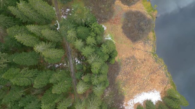 Vue verticale en drone de la for&ecirc;t des Vosges le long du lac de la T&eacute;nine