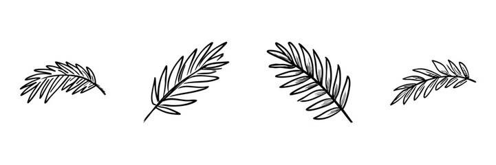 Obraz premium Palm Leaf In Hand Drawn Style Set. Nature And Decoration Doodle Sketch Collection. Botanical And Tropical Theme. Isolated Vector Illustration