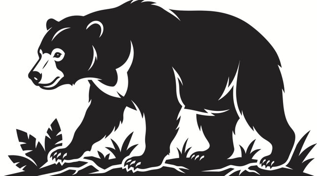 A sun bear walks through forest with plants and grass on ground
