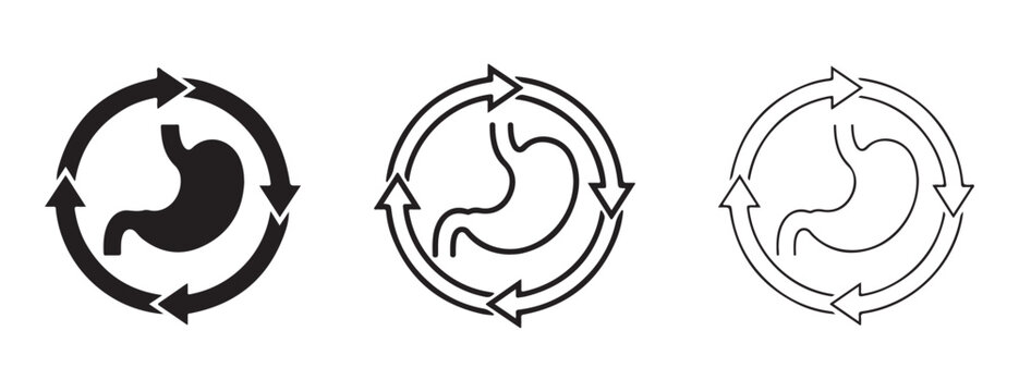 Stomach digestive system cycle icons  gut health and digestion process symbols  stomach and circular arrows
