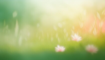 Fototapeta premium original real photo blurry aesthetic grass meadow flower abstract natural textured background