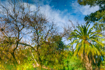 Fototapeta premium Autumn in Palermo Park, Buenos Aires, Argentina