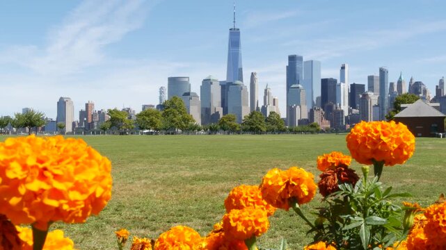 New York City Manhattan Downtown Financial District skyline, World Trade Center tower from New Jersey Liberty state park, United States. Green grass lawn, marigolds and skyscraper buildings cityscape.