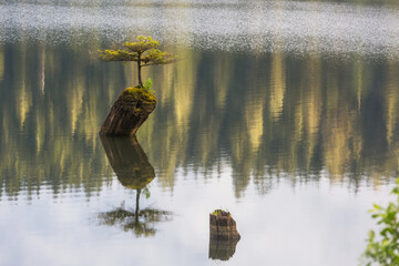Naklejka premium Vancouver island