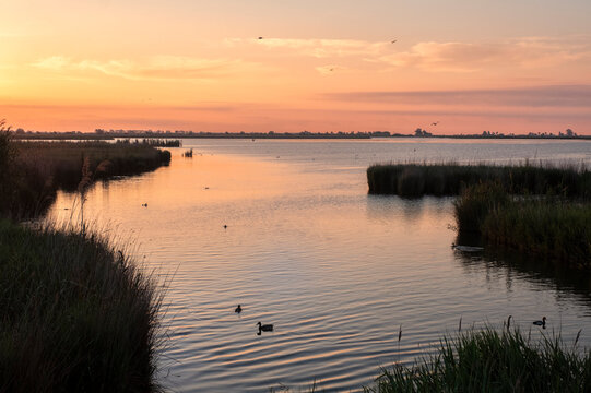 Silhouetted ducks in a Delta de l&rsquo;Ebre lagoon at sunrise