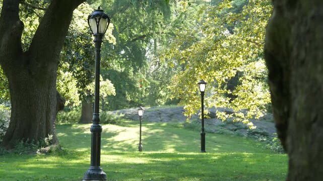 New York City Central Park nature oasis. Green lawn in summer day, United States. Grass greenery, meadow in morning light. Autumn fall leaves and street lantern or lamp in NYC, USA. Trees in sunshine