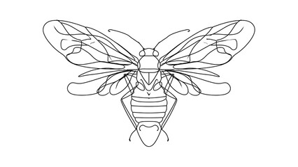 Fototapeta premium Detailed bee line art illustration on white background.