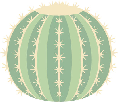 Green Prickly Cactus Plant.