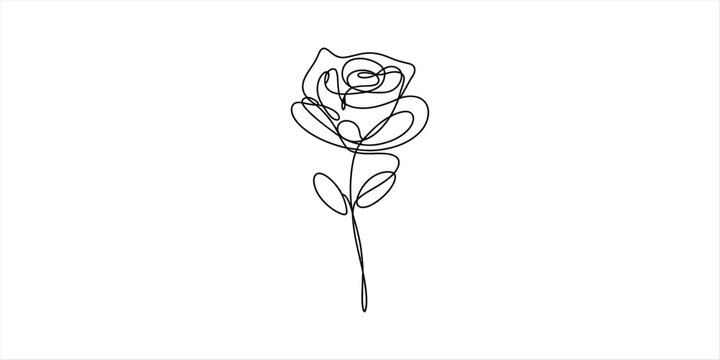Continuous single line drawing of a beautiful rose flower Vector, illustration