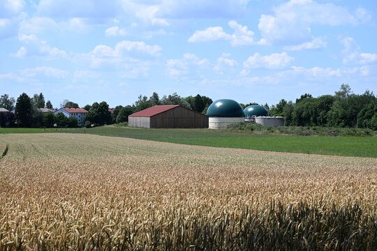 Wheat field with barn and green biogas domes under summer sky