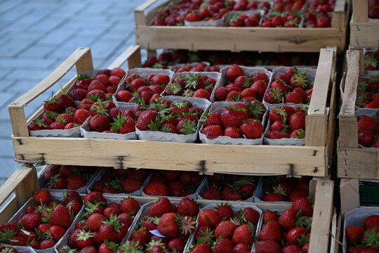 Fresh strawberries in wooden crates at market