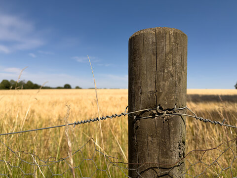 barbed wire fence surrounding a field 