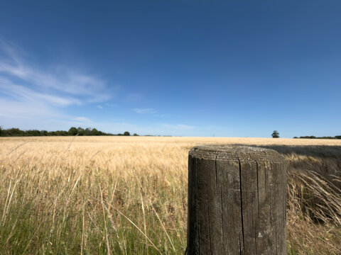 wooden fence surrounding a field