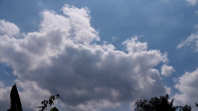 Low angle wide shot of massive fluffy white cumulus clouds drifting slowly on a sunny day.