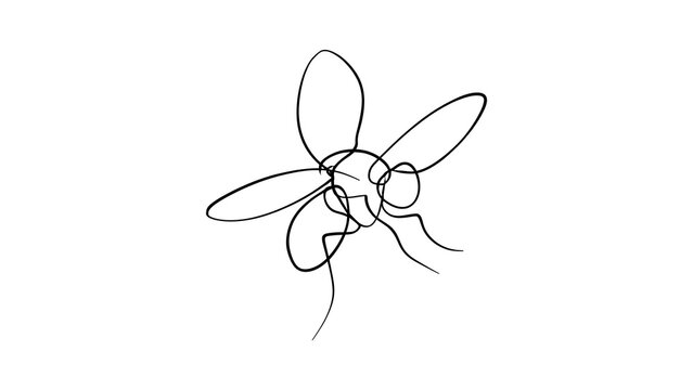 Minimalist fly line drawing on white background.