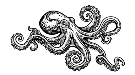 A detailed illustration of an octopus with sprawling tentacles in a dynamic pose. © Wikwik