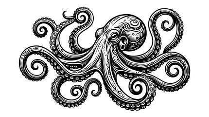 An octopus illustration depicts the sea creature with tentacles curled up. © Wikwik