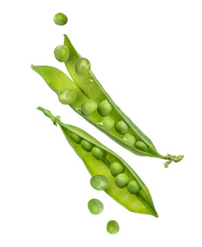 Open green pea pods in the air isolated on transparent background