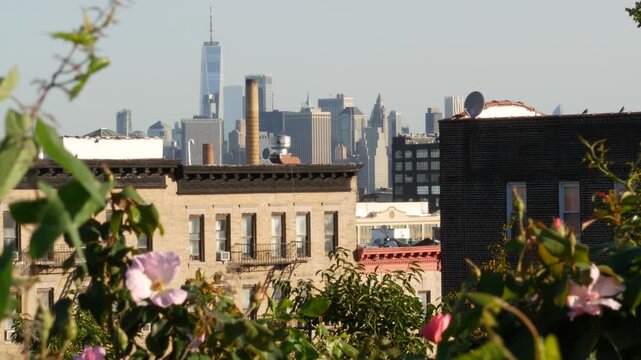 New York City Manhattan downtown financial district skyline, Brooklyn Sunset Park, United States of America. Urban cityscape with skyscraper buildings, World Trade Center from residential district