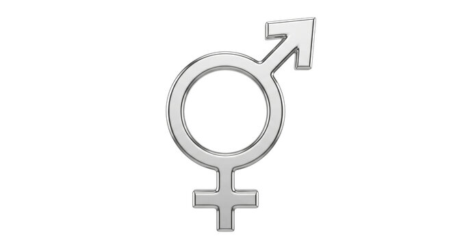 Silver gender symbol representing both male and female on a white background