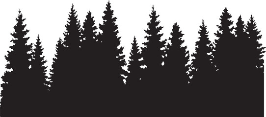 Silhouette of dense coniferous trees against clear sky landscape scene © Md. Habibur