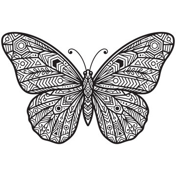 Butterfly coloring page with intricate geometric patterns and zentangle line art vector for creative relaxation and art therapy