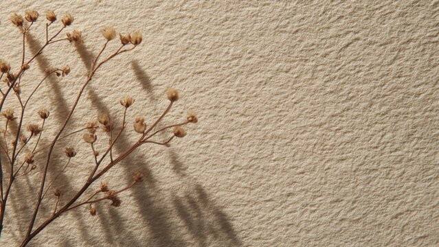 Organic handmade paper featuring a blank textured surface with aesthetic minimalist shadow play in earthy hues ideal for creative and artistic backgrounds