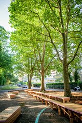 Obraz premium Wooden lounge area beneath mature trees in a peaceful urban park in Geneva. Biophilic design encourages relaxation, mindfulness and healthy outdoor living.